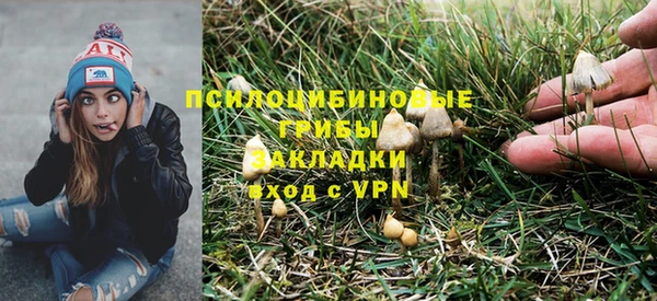 гидропоника Карталы