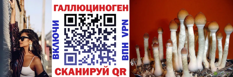 Галлюциногенные грибы GOLDEN TEACHER  Купить  Нововоронеж 